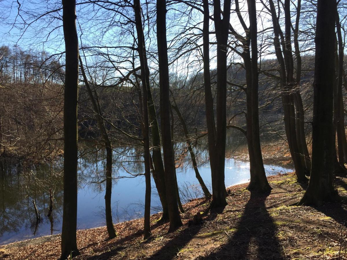 Hof Uhleck Am Koenigsstuhl Daire Lohme Dış mekan fotoğraf