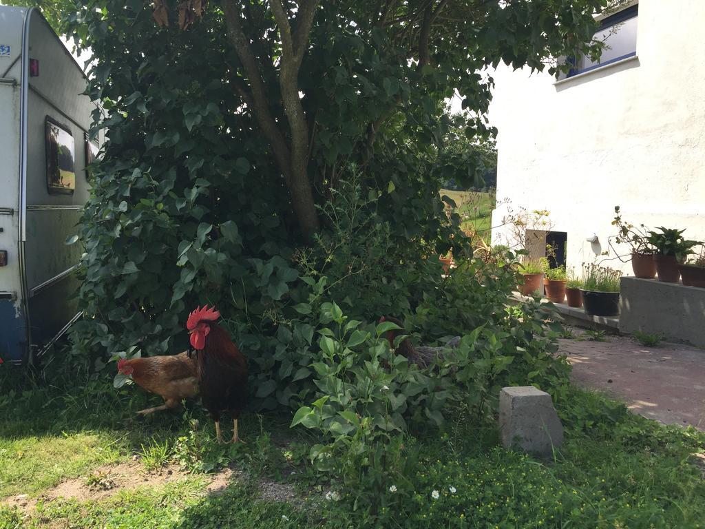 Hof Uhleck Am Koenigsstuhl Daire Lohme Dış mekan fotoğraf