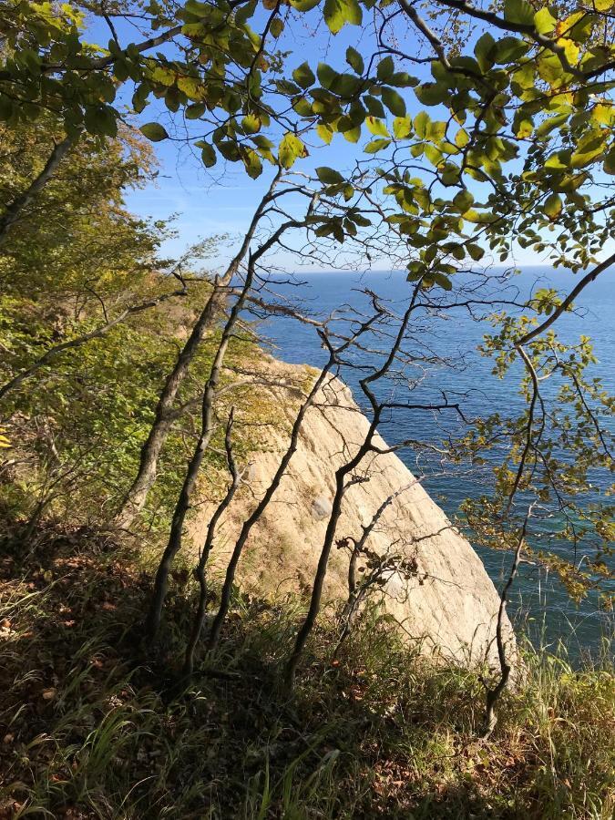 Hof Uhleck Am Koenigsstuhl Daire Lohme Dış mekan fotoğraf